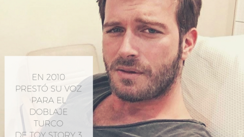 Kuzey Guney, Toy