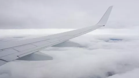 Vuelos en Aeropuerto de Tijuana hoy 4 de febrero de 2025 resultaron afectados por neblina ¿Seguirá la condición el miércoles 5?