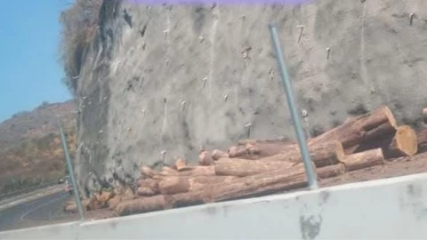 Cierre parcial en la carretera federal México-Cuernavaca; camión pierde carga de troncos.