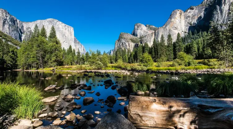 Yosemite Park National reclama que los turistas dejan el papel higiénico usado en el medio del paisaje
