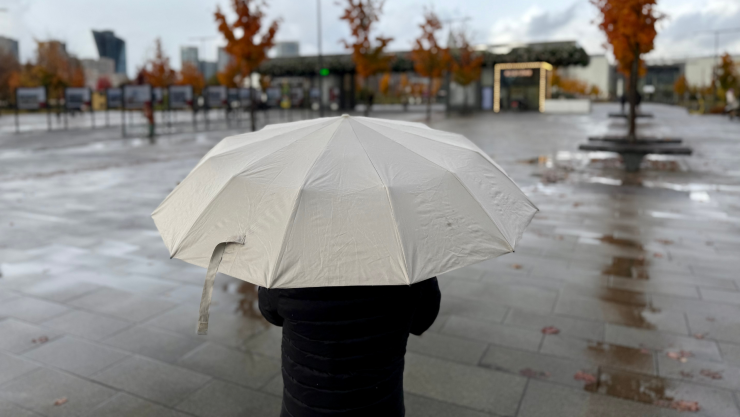 LLUVIA TIJUANA.png