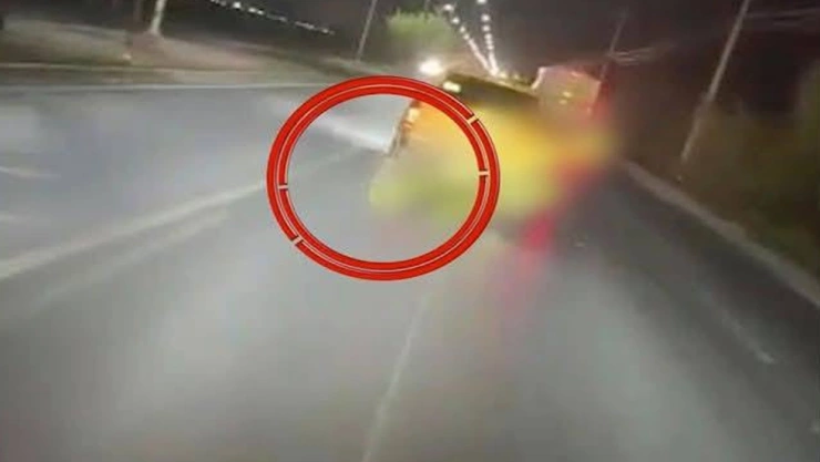 perro camioneta nuevo león