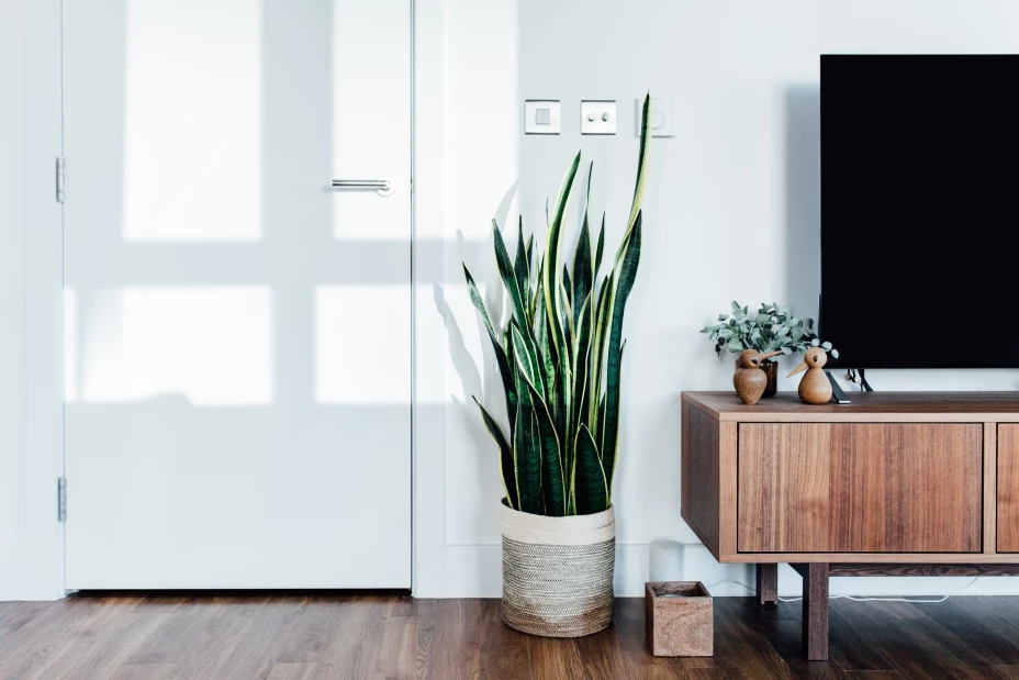 planta ideal departamento