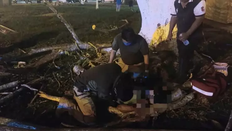 Cae empleado en Izamal mientras cortaba ramas del parque