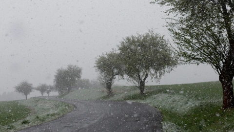 El invierno durante este 2024 podr&iacute;a impactar de manera diferente en M&eacute;xico