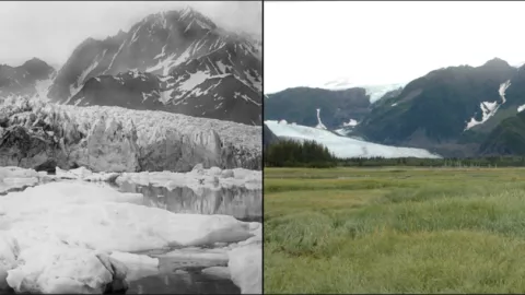 Glaciar Pedersen.png