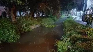 Hombre muere al caer a canal de aguas negras en Camerino Z. Mendoza.