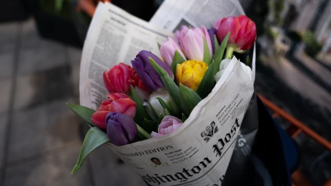 ¿Qué significa regalar tulipanes? Aquí la respuesta.jpg