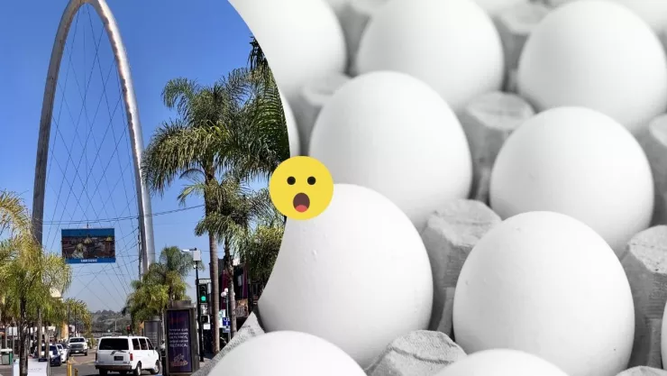 ¿Cuál es el precio del huevo en Tijuana en febrero de 2025 y cuánto costará en marzo?