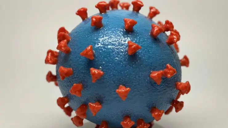 coronavirus.jpg