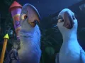 035 Rio2.jpg
