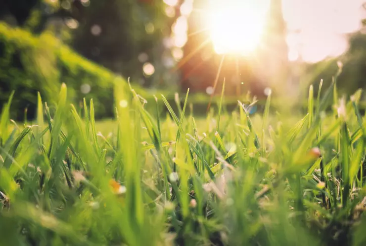 equinoccio de primavera marzo