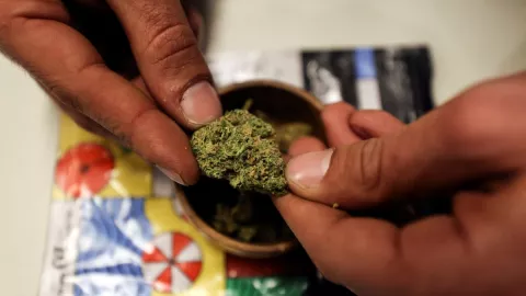 marihuana iniciativa estados unidos