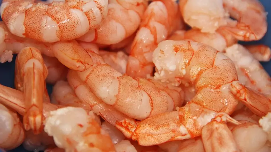 ¿Es malo comerse la vena negra del camarón? Te decimos