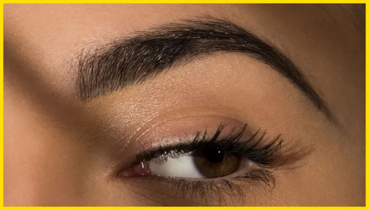 Cejas