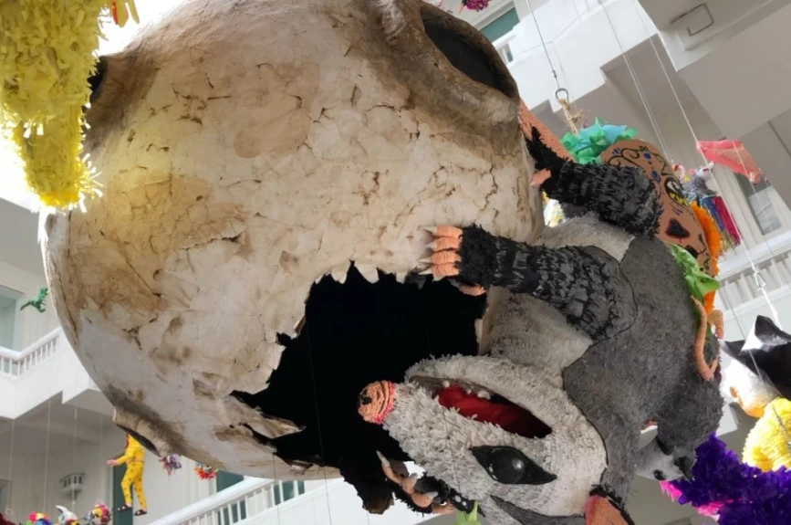 El tlacuache, único marsupial mexicano, se mete hasta en las piñatas.