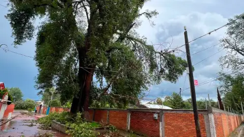 Escuela