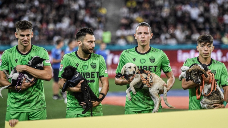 perros-en-adopcion-rumania-futbolistas