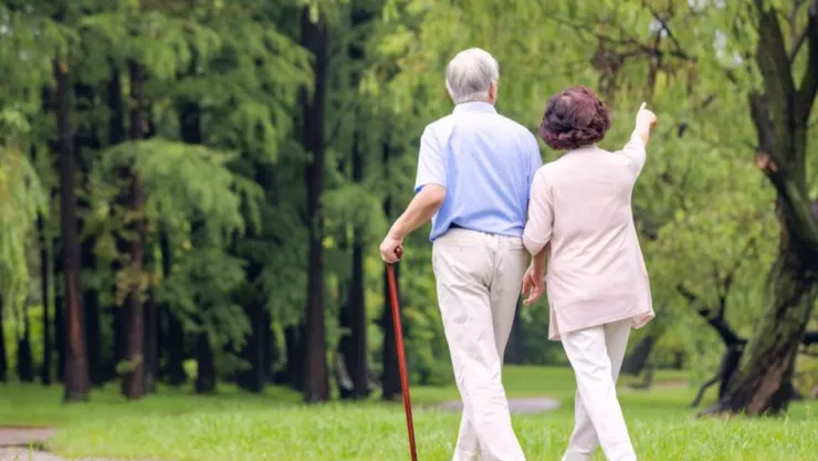 pension_adultos_mayores