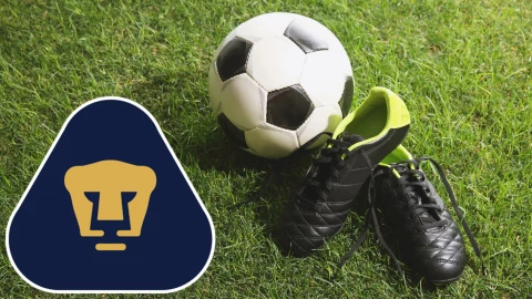 Este seria el nuevo candidato para dirigir a los Pumas de la UNAM en caso de salida de Efraín Juárez