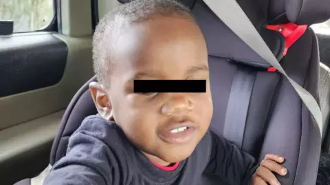 Hallan a bebé desaparecido en mandíbula de cocodrilo (FOTO