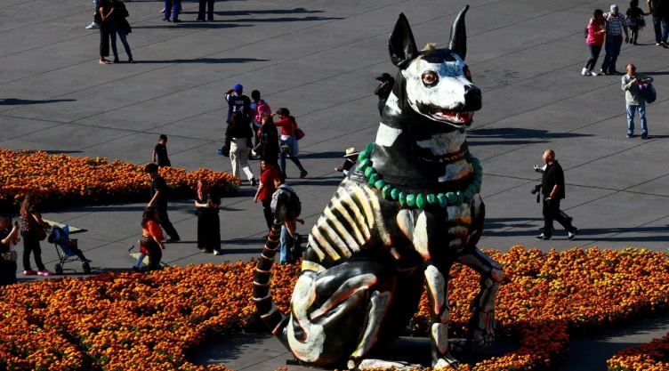 La leyenda del xoloitzcuintle en el Día de Muertos enaltece su valor y guía de las almas