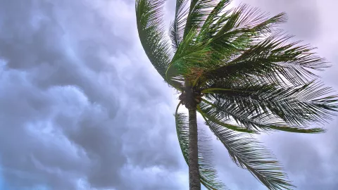 Frente frío 37: ¿Alerta en Aguascalientes por rachas de viento?