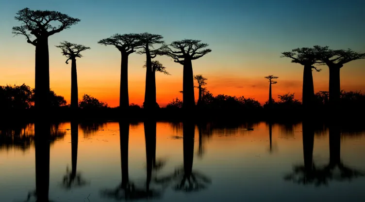 5. Madagascar | Imagen, Depositphotos