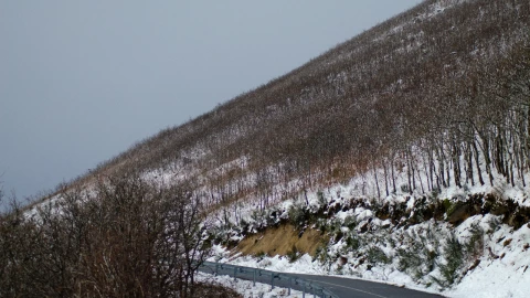 Frente frío 24 Jalisco