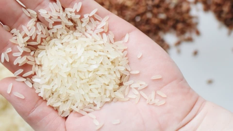 arroz - grano - basico - alimentacion - mexico