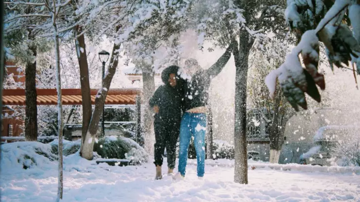 Chihuahua caída de nieve