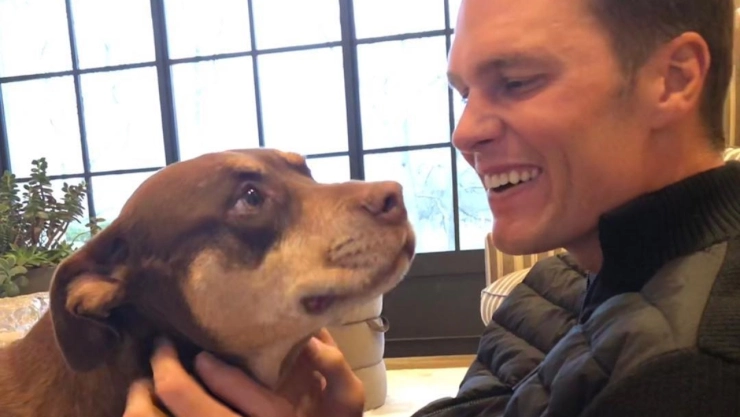 Tom Brady junto a su perra