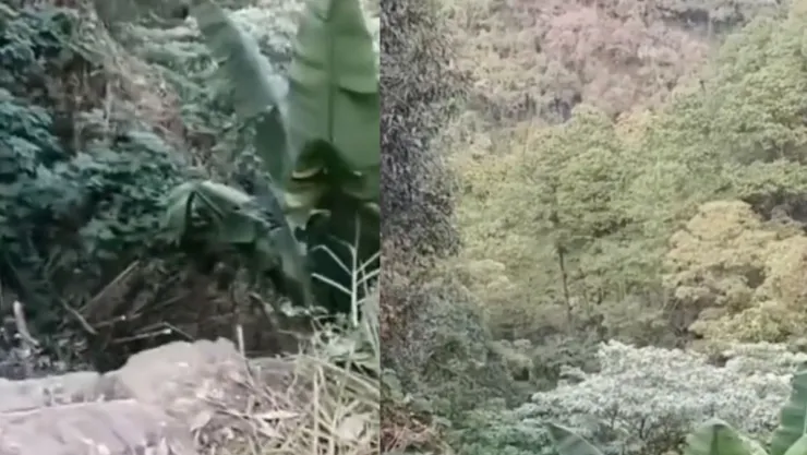 bruja en Catemaco