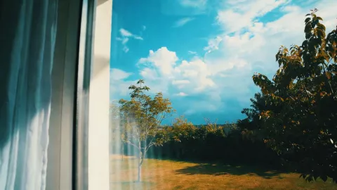 ¡Se viene el calorón! ¿A qué hora se aconseja NO SALIR de casa Así estará el clima en León hoy domingo 15 de febrero.jpg