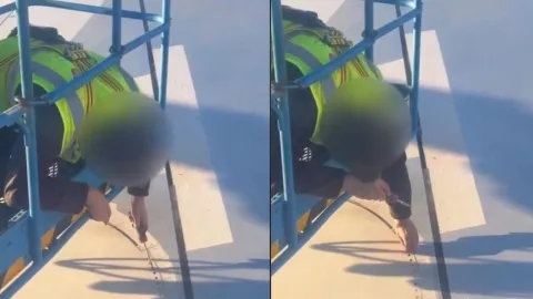 Diseño sin título (61).jpg