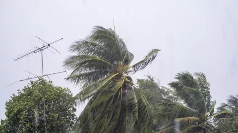 Clima Tijuana hoy jueves 7 de noviembre de 2024 por vientos de Santa Ana; habrá mala calidad de aire