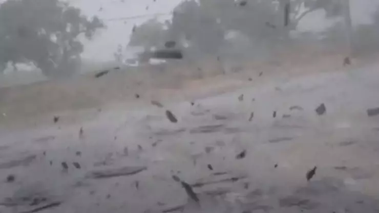 VIDEO Huracán Fiona ocasiona apagón general en Puerto Rico