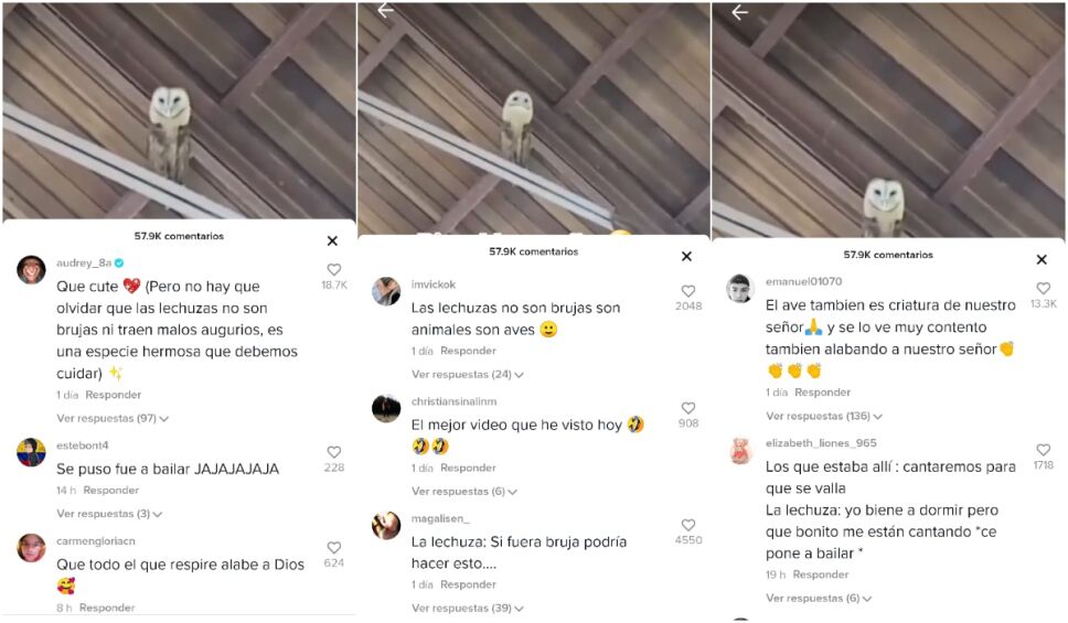 comentarios baile lechuza iglesia.jpg