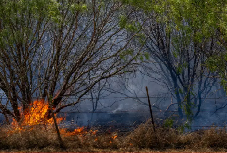 Calor en 2024 sería mucho mayor que en 2023 por culpa de El Niño-1.jpg