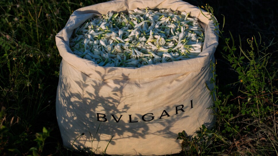 Bvlgari