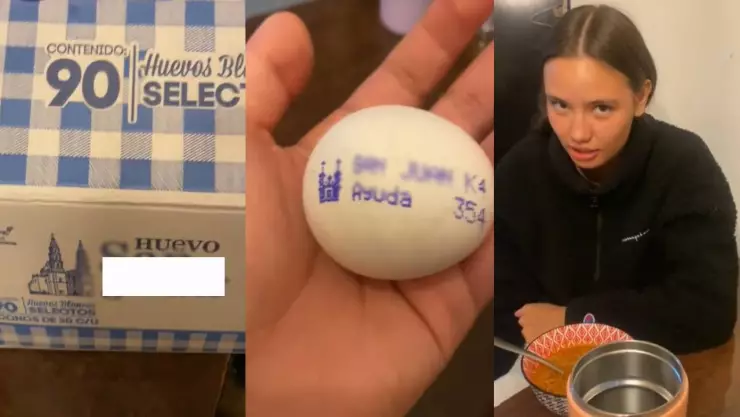 VIRAL: ¿Las gallinas piden ayuda? Joven encuentra llamado de auxilio en un huevo