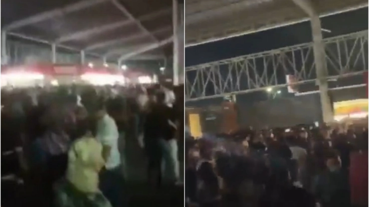 estampida expo Nuevo León.jpg