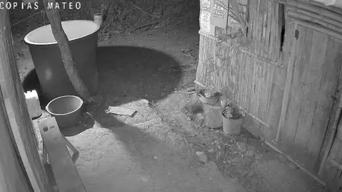 Nahual en Tantoyuca, Veracruz