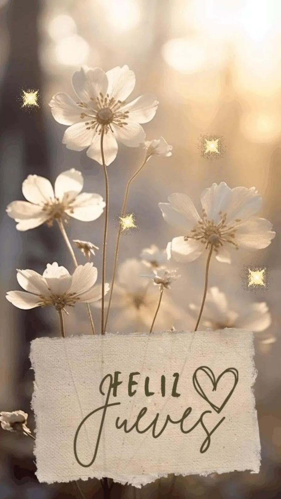 Imágenes de feliz jueves para WhatsApp y redes sociales