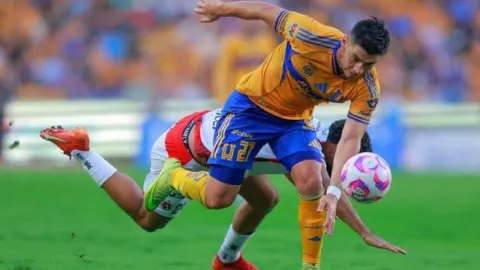 Tigres