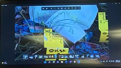 vicefiscal Nuevo León