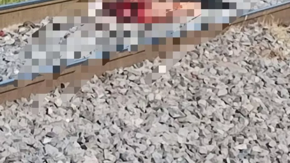 FOTOS | ¡Imágenes sensibles! Hombre muere tras ser atropellado por un tren en El Salto