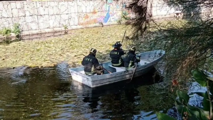 bomberos-cuerpo-coyoacan-canal (1).jpg