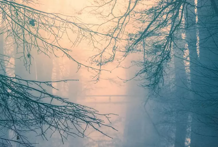 Clima en Morelos hoy