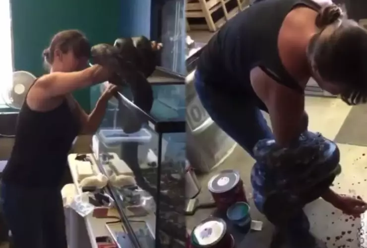 Serpiente ataca a su cuidadora.jpg